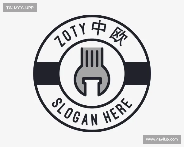 认识zoty中欧